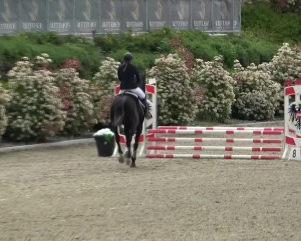 Reitturnier St. Margarethen 2025