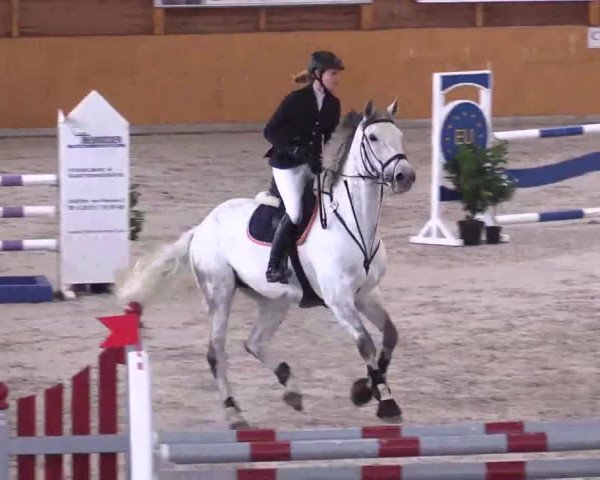 Hallenspringturnier Xanten - Reitanlage Miß 2014