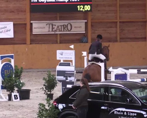 Hallenspringturnier Xanten - Reitanlage Miß 2014