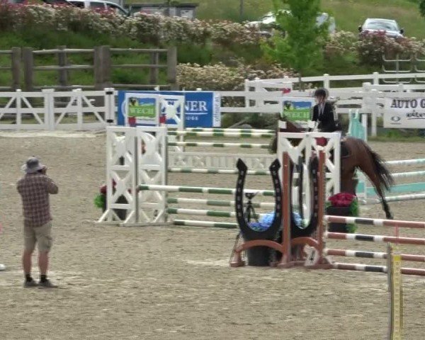 Reitturnier St. Margarethen 2025
