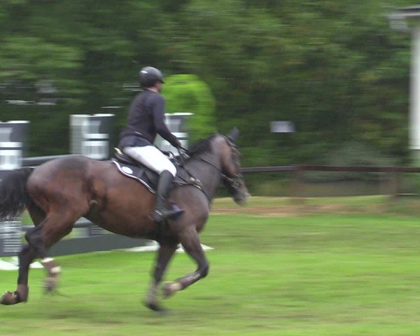Reitturnier Zeven 2025