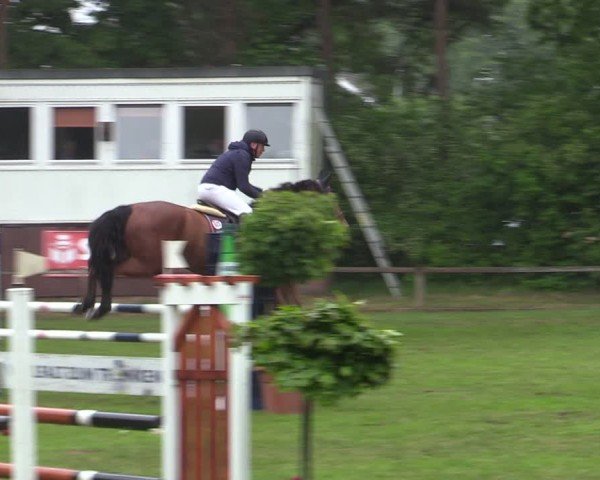 Reitturnier Zeven 2025