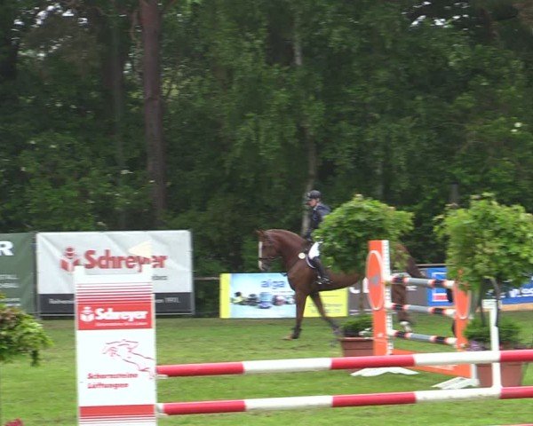 Reitturnier Zeven 2025