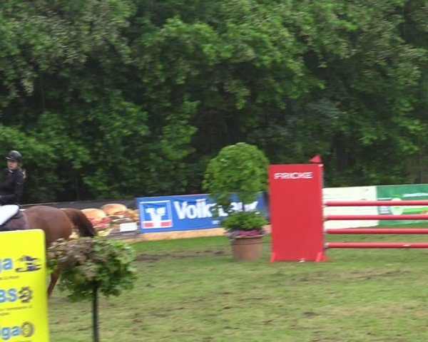 Reitturnier Zeven 2025