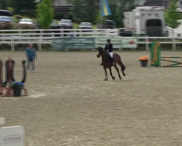 Reitturnier St. Margarethen 2025