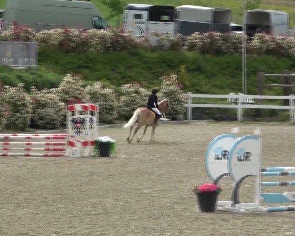 Reitturnier St. Margarethen 2025