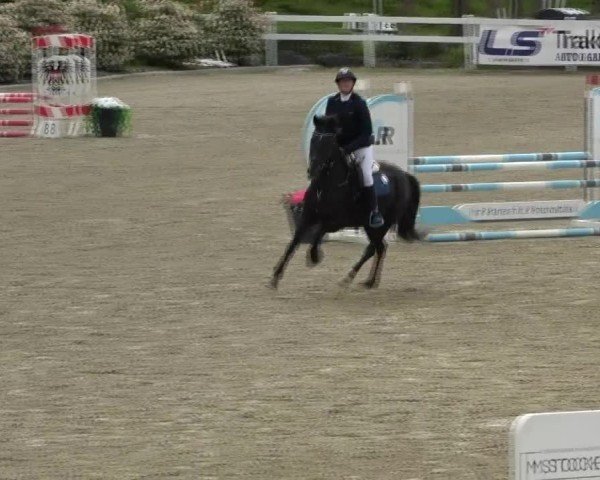 Reitturnier St. Margarethen 2025