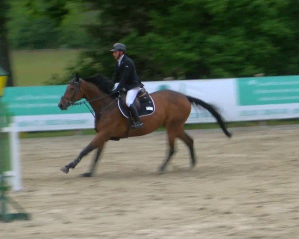 Reitturnier Alvern 2025