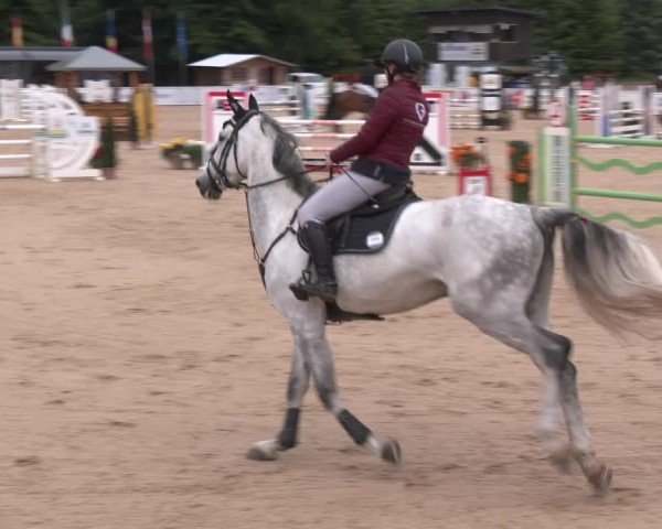 Reitturnier Ranshofen - Braunau am Inn 2025