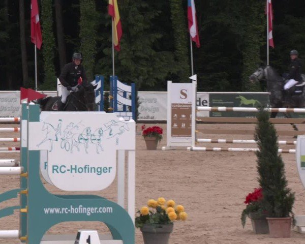 Reitturnier Ranshofen - Braunau am Inn 2025