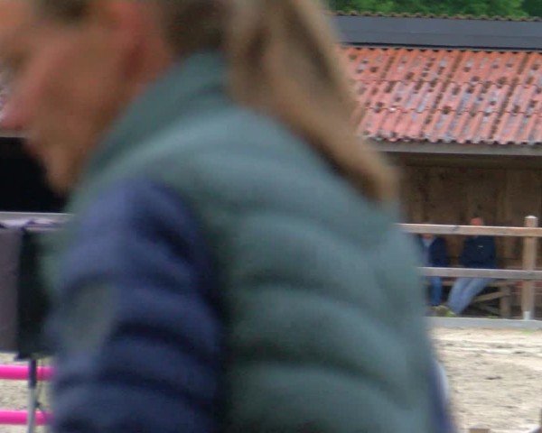 Reitturnier Alvern 2025