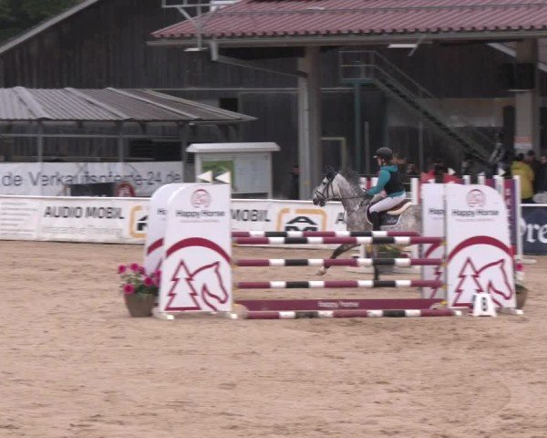 Reitturnier Ranshofen - Braunau am Inn 2025