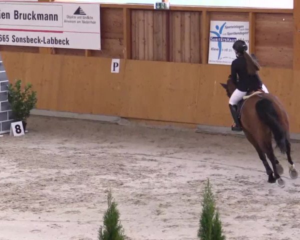 Hallenspringturnier Xanten - Reitanlage Miß 2014