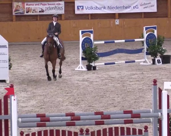 Hallenspringturnier Xanten - Reitanlage Miß 2014