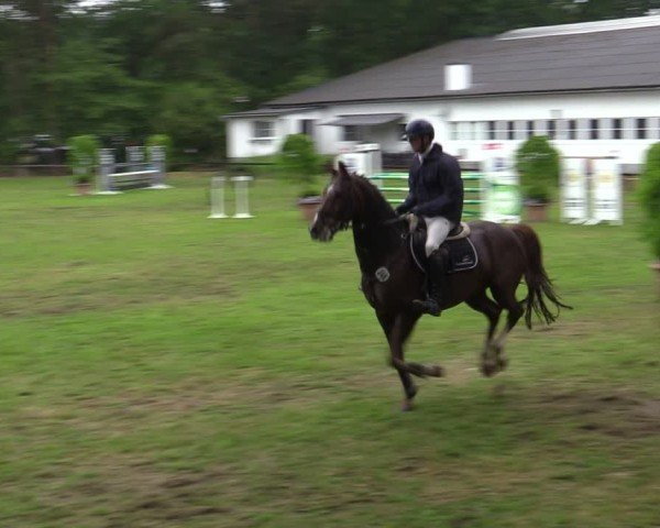 Reitturnier Zeven 2025