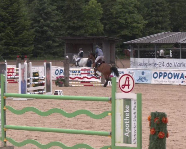 Reitturnier Ranshofen - Braunau am Inn 2025