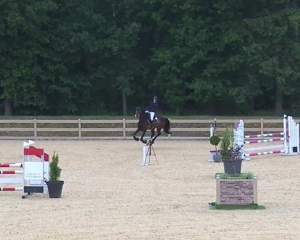 Reitturnier Tiefenhof/Opf. 2025