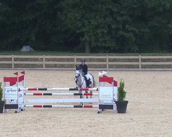 Reitturnier Tiefenhof/Opf. 2025