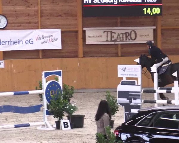 Hallenspringturnier Xanten - Reitanlage Miß 2014