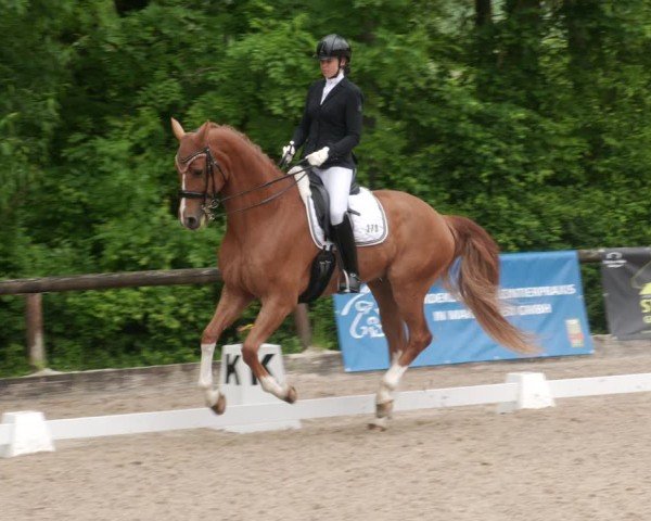 Reitturnier Leonberg 2025