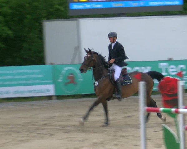Reitturnier Alvern 2025