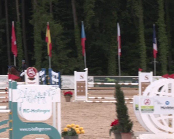 Reitturnier Ranshofen - Braunau am Inn 2025