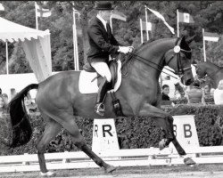 dressage horse Flora Flowerpower (Oldenburg, 2004, from Florencio I)