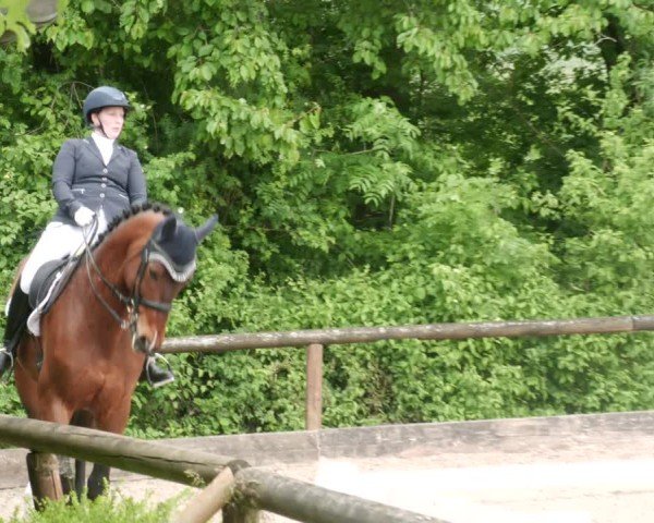 Reitturnier Leonberg 2025