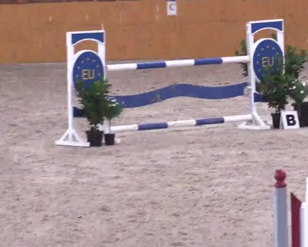 Hallenspringturnier Xanten - Reitanlage Miß 2014