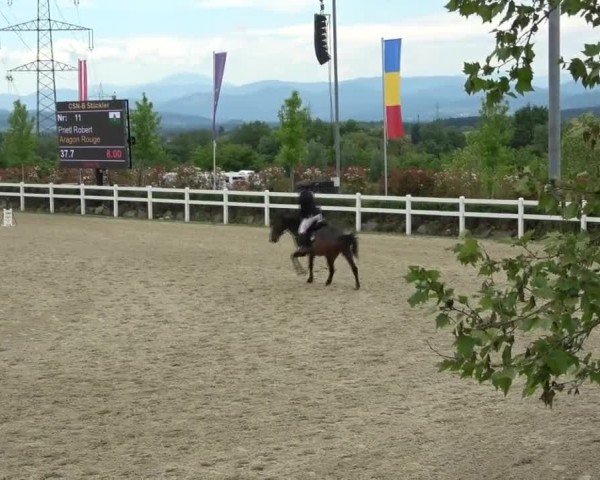 Reitturnier St. Margarethen 2025