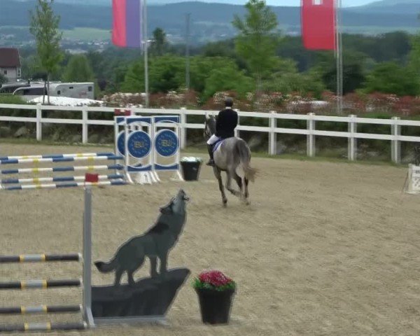 Reitturnier St. Margarethen 2025