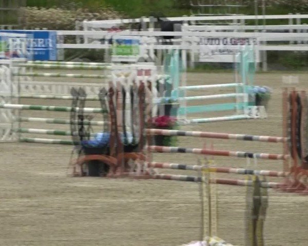 Reitturnier St. Margarethen 2025