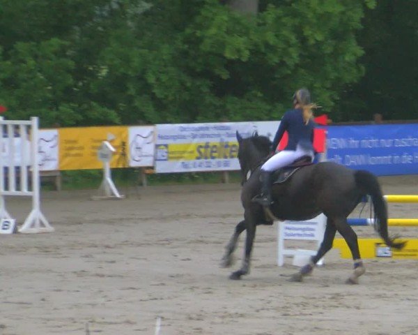Reitturnier Alvern 2025