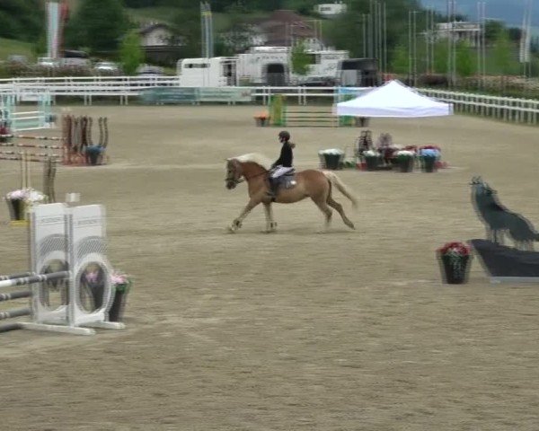 Reitturnier St. Margarethen 2025