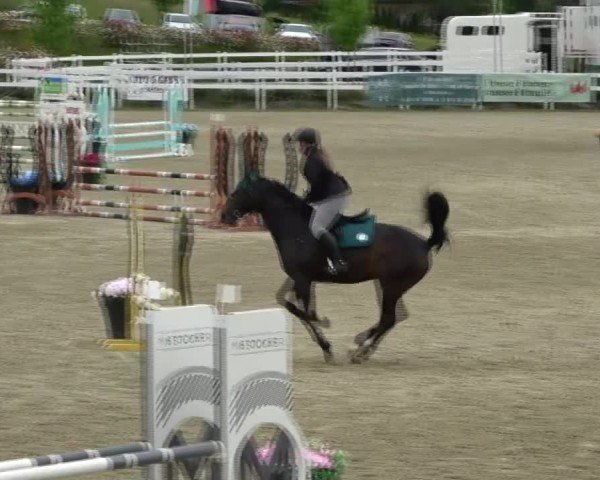 Reitturnier St. Margarethen 2025