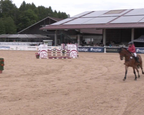 Reitturnier Ranshofen - Braunau am Inn 2025