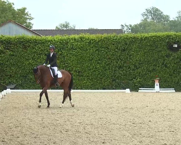 Reitturnier Notzing/Obb. 2025