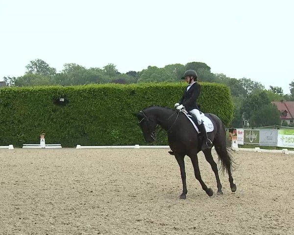 Reitturnier Notzing/Obb. 2025