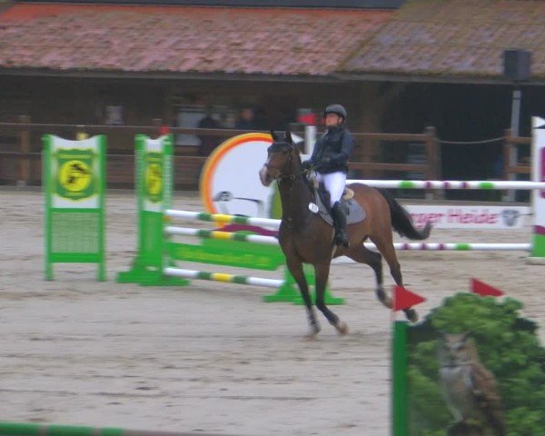 Reitturnier Alvern 2025