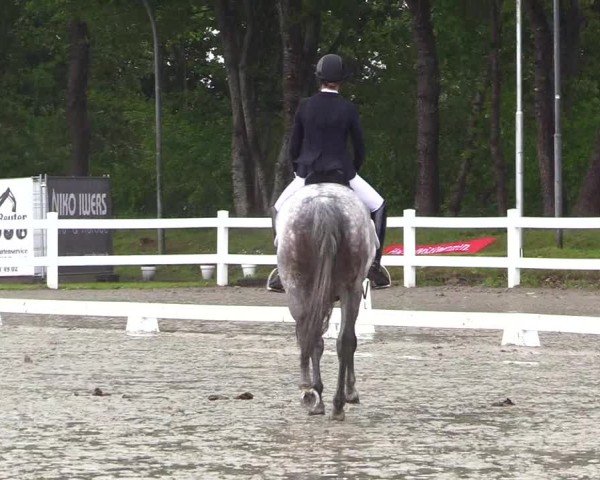 Reitturnier Dressurturnier Mildstedt 2025