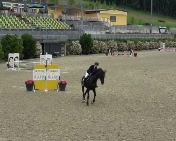 Reitturnier St. Margarethen 2025