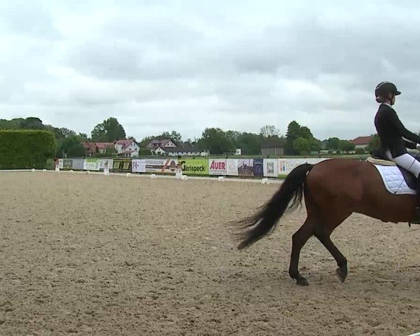 Reitturnier Notzing/Obb. 2025