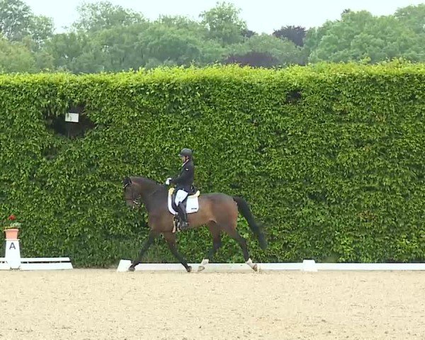 Reitturnier Notzing/Obb. 2025