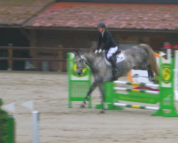 Reitturnier Alvern 2025