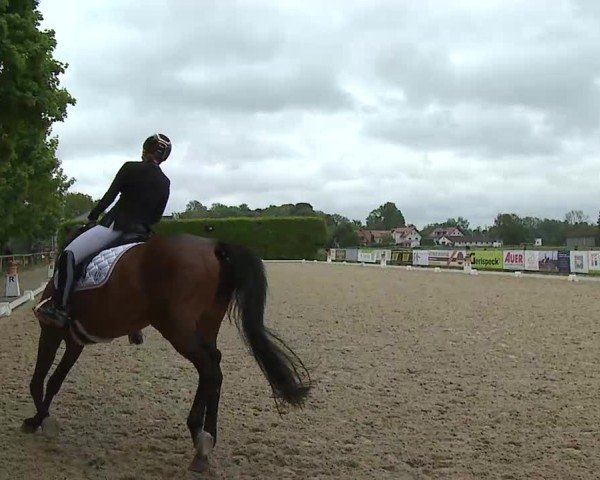 Reitturnier Notzing/Obb. 2025