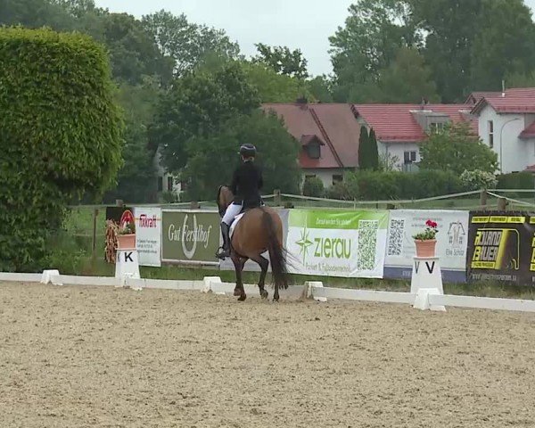 Reitturnier Notzing/Obb. 2025