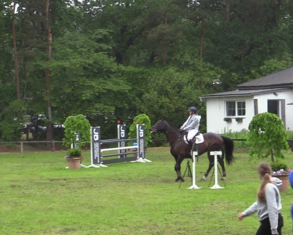 Reitturnier Zeven 2025