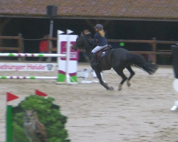 Reitturnier Alvern 2025