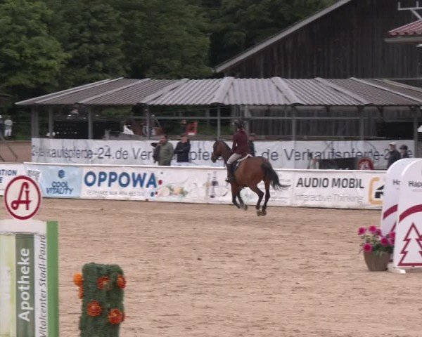 Reitturnier Ranshofen - Braunau am Inn 2025