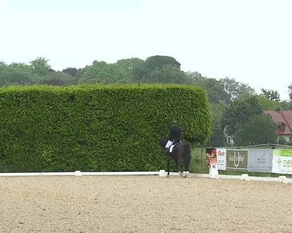 Reitturnier Notzing/Obb. 2025